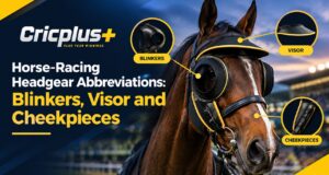 Horse-Racing Headgear Abbreviations: Blinkers, Visor and Cheekpieces